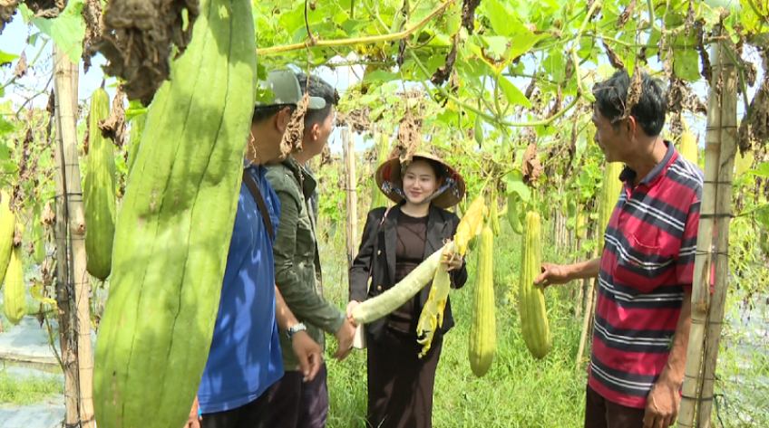 Dự án Mr Mướp cùng thông điệp 