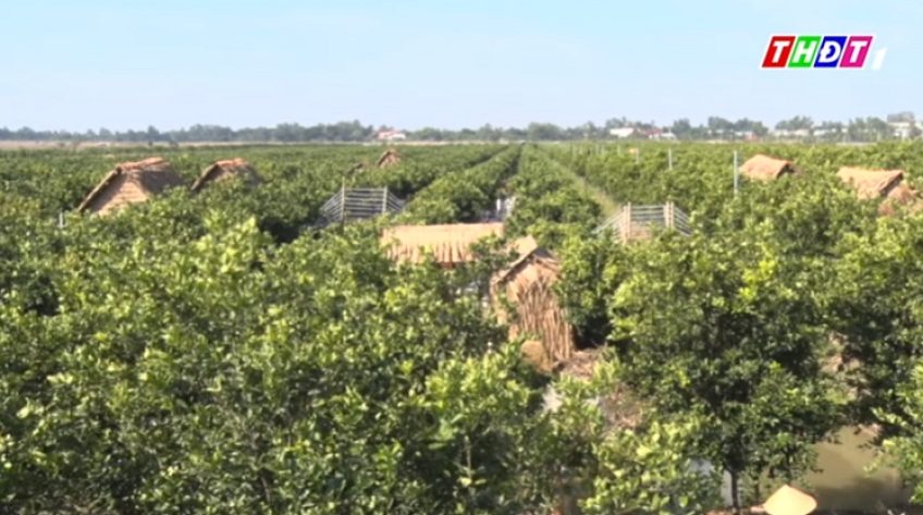 TX.Hồng Ngự có điểm du lịch sinh thái đầu tiên