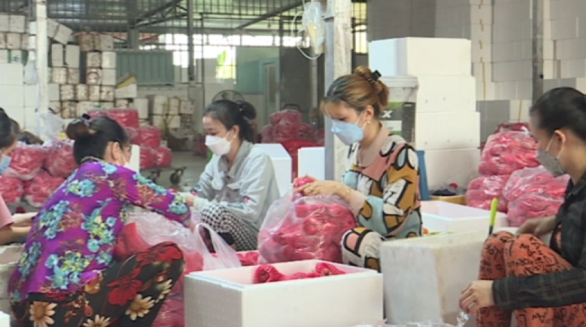 Cửa khẩu ùn tắc, doanh nghiệp Đồng Tháp chủ động chuyển hướng