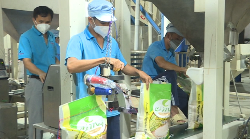 10 doanh nghiệp Đồng Tháp đạt “Hàng Việt Nam chất lượng cao 2022”