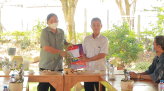 Tết Nhâm Dần đáng nhớ