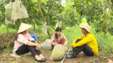 Hương sen Đồng Tháp - 07/5/2021: Lê Văn Gin - Công nhân trẻ sáng tạo
