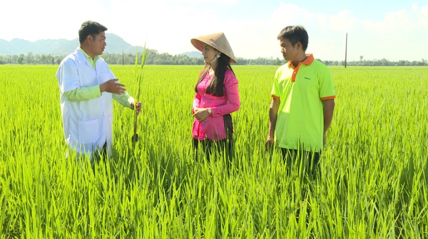 Cánh đồng hội nhập - 08/5/2021: Tạo sức sống xanh cho lá đòng