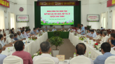 Quyết tâm phục hồi môi trường cho sếu đầu đỏ