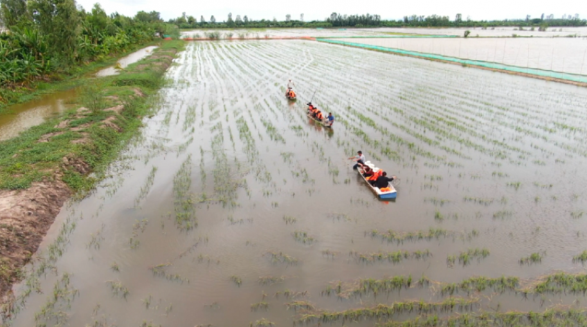 Làm du lịch sinh thái mùa nước nổi