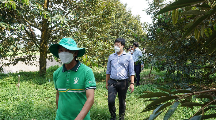 Bí thư Tỉnh ủy đánh giá cao nỗ lực chuyển đổi cây trồng hiệu quả của nông dân Thanh Mỹ