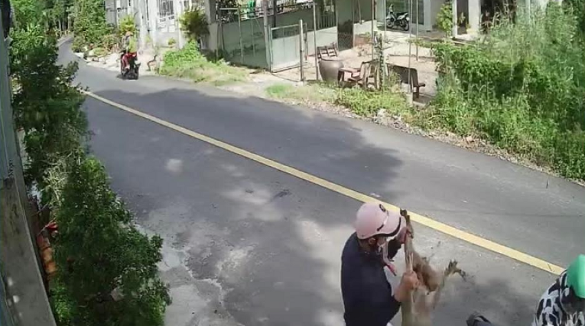 2 thanh niên táo tợn bắt trộm chó giữa ban ngày