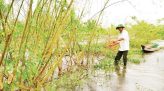 Bão Choi-Wan chính thức hình thành, dự báo hoàn lưu gây mưa rất lớn