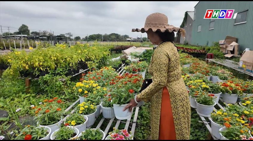 Sa Đéc lượng lớn hoa kiểng được tiêu thụ từ khách tham quan