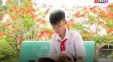 Toàn cảnh nông nghiệp - 11/7/2026: Chủ động phòng bệnh để giữ chất lượng trái thanh long vào mùa mưa