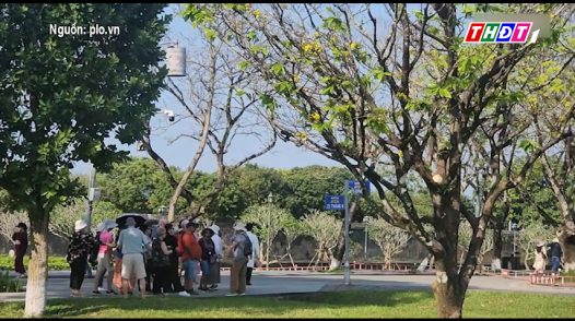 Vườn Hoàng Mai cổ thụ khoe sắc trước Đại hội Huế