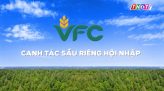 Cánh đồng hội nhập - 04/12/2025: Quản lý vi khuẩn hiệu quả vụ Đông Xuân