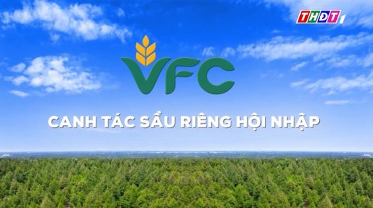 Cánh đồng hội nhập - 16/10/2025: Canh tác sầu riêng hội nhập - cơi đọt khỏe và bí quyết phục hồi sầu riêng sau thu hoạch