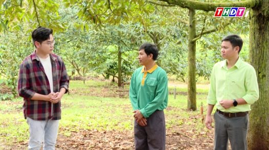 Cánh đồng hội nhập - 20/11/2025: Canh tác sầu riêng hội nhập - cơi đọt khỏe và bí quyết phục hồi sầu riêng sau thu hoạch