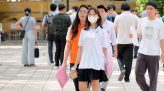 Vị thuốc bổ huyết, an thần lại tốt cho tim mạch nhưng không phải ai cũng biết