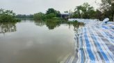 Nhảy xuống sông cứu người, thiếu tá quân đội cùng nạn nhân mất tích