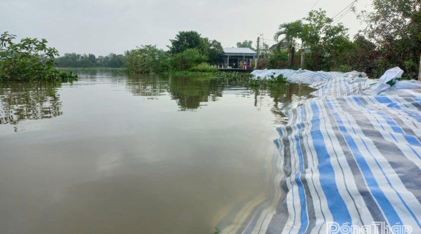 Đồng Tháp: Triều cường lên nhanh, chủ động phòng, chống ngập lụt