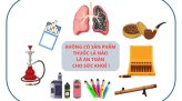 Tết Nguyên đán năm 2027: Công chức-viên chức được nghỉ 7 ngày liên tục