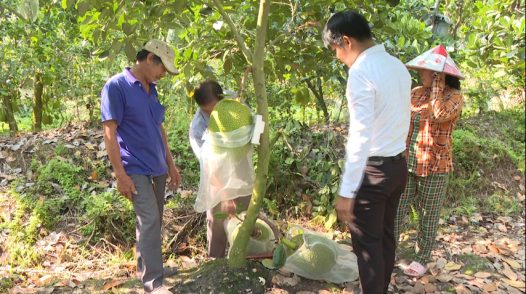 Đồng hành cùng phụ nữ phát triển kinh tế giảm nghèo bền vững