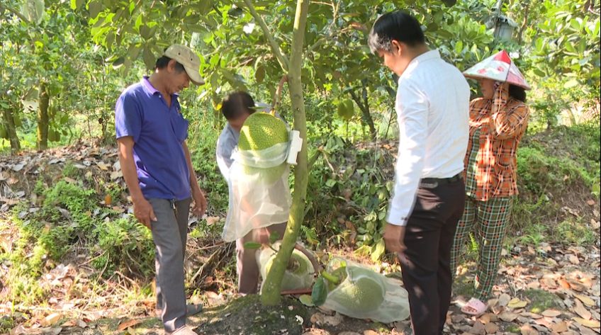 Đồng hành cùng phụ nữ phát triển kinh tế giảm nghèo bền vững