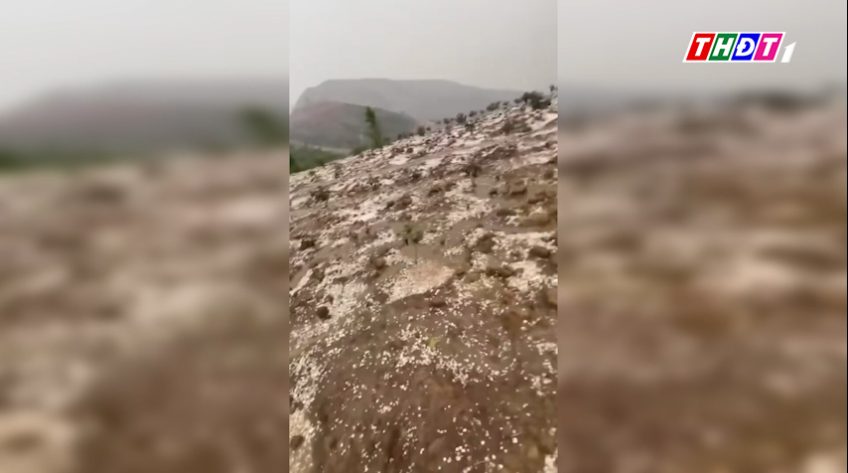 Mưa đá trắng xóa ở Sơn La làm hỏng hoa màu của người dân