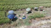 Lãnh đạo UBND xã Hòa Long khảo sát các tuyến đê bao