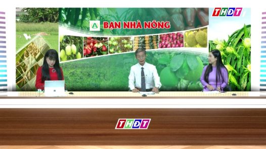 Bạn nhà nông - 27/12/2025: Tăng tốc cho trái cây Tết