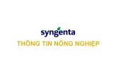 Syngenta Thông tin nông nghiệp - 09/11/2025: Quản lý sâu cuốn lá lúa
