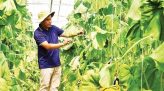 Bệnh viện Chợ Rẫy phát hiện vi khuẩn hiếm ở người bệnh phổi
