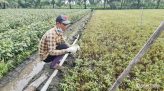 Khám sức khỏe định kỳ cho trẻ dưới 6 tuổi: Bổ sung sàng lọc nguy cơ tự kỷ, lưu hồ sơ điện tử