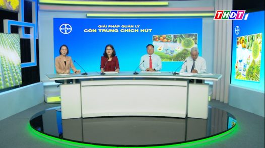 Tư vấn khuyến nông - 23/03/2026: Giải pháp quản lý côn trùng chích hút