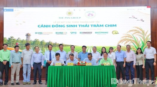 XÃ TRÀM CHIM: Vùng lúa sinh thái, sự bền vững từ đồng ruộng và môi trường sống