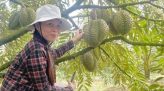 Gần 850.000 người mắc ung thư gan, nhiều trường hợp có thể phòng ngừa