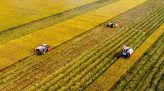Mưa ở Nam Bộ gia tăng từ 13/10