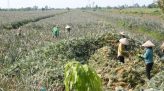 Bộ Y tế đề xuất loạt chính sách khuyến sinh