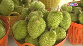 Triệt phá ổ nhóm đánh bạc và rửa tiền hành triệu USD