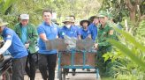 Giá vàng hôm nay (chiều 13-8): Giá vàng nhẫn giảm nhẹ
