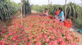 Ấp áp cơ sở xoa bóp, bấm huyệt từ thiện