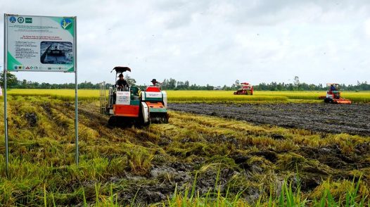 Đồng Tháp: Triển khai xây dựng kiểu mẫu về nông nghiệp sinh thái, nông thôn hiện đại, nông dân văn minh