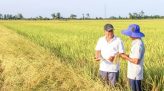 Xuất khẩu tăng tốc nhờ động lực công nghệ cao