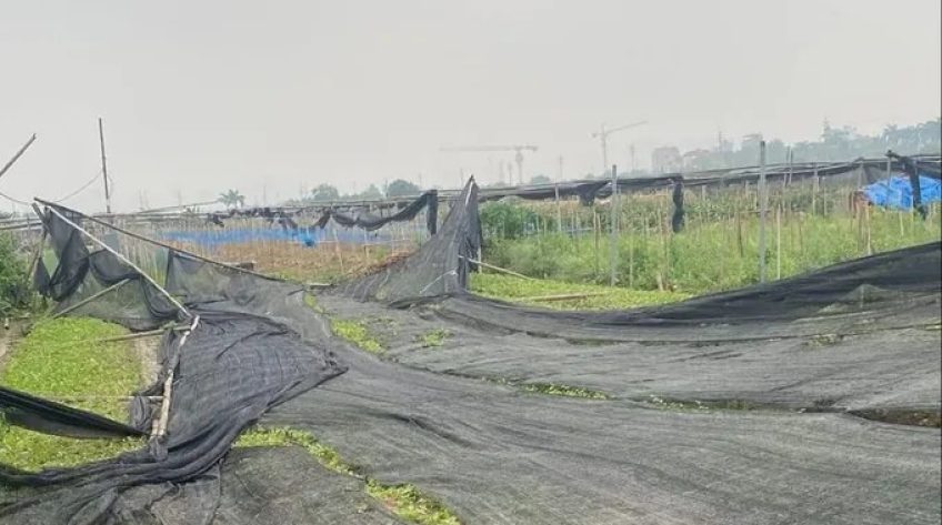 Đề nghị các địa phương chủ động ứng phó mưa đá, dông lốc, sét
