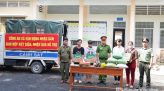 Xuân Mai, Bé Châu và lý do thần đồng âm nhạc khó giữ sức hút khi trưởng thành