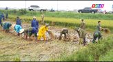 Tiết học không bục giảng