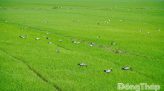 Mỗi gia đình là một “pháo đài” trong giữ gìn an ninh, trật tự