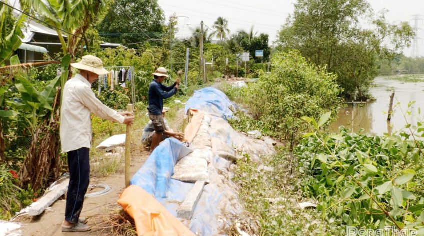 Đồng Tháp: Từ nay đến cuối năm còn 7 đợt triều cường