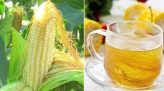 Công bố Nghị định thư về kiểm dịch bưởi, chanh xuất khẩu sang Trung Quốc