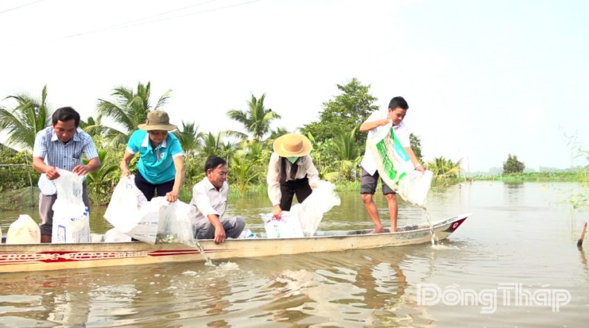 Xã Tân Thạnh: Thả hơn 28.000 con cá giống phát triển sinh kế, tái tạo nguồn lợi thủy sản