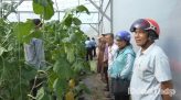 Thử tướng yêu cầu xử lý dứt điểm tình trạng thiếu sách giáo khoa