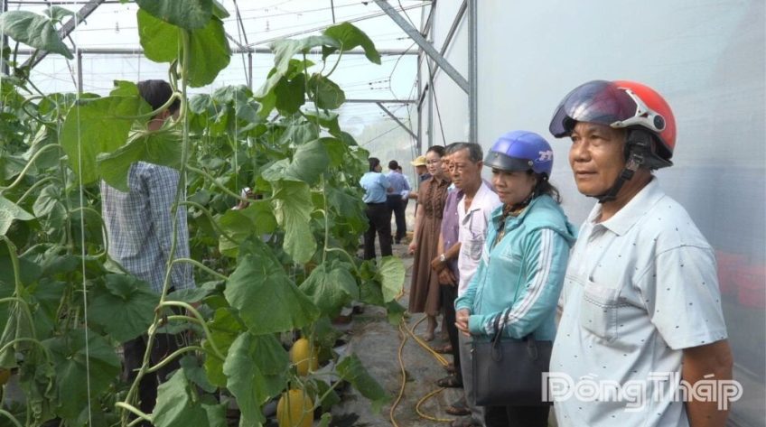 Phổ biến kiến thức ứng dụng công nghệ cao trong nông nghiệp