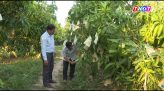 Tăng cường công tác bảo đảm an ninh, trật tự Lễ 19/8 và 02/9 năm 2026